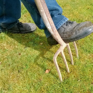 Image is of a man aerating the grass with a garden tool.